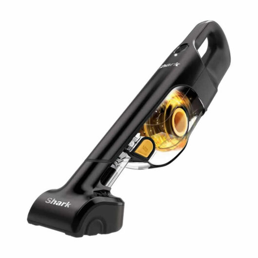Shark